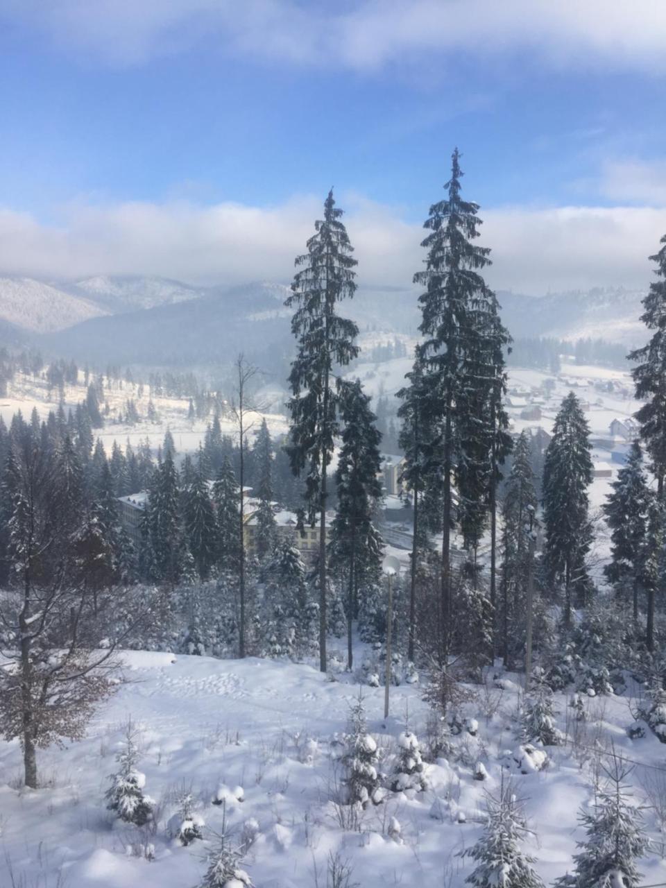 Chalet Shepit Karpat Bukovel Luaran gambar