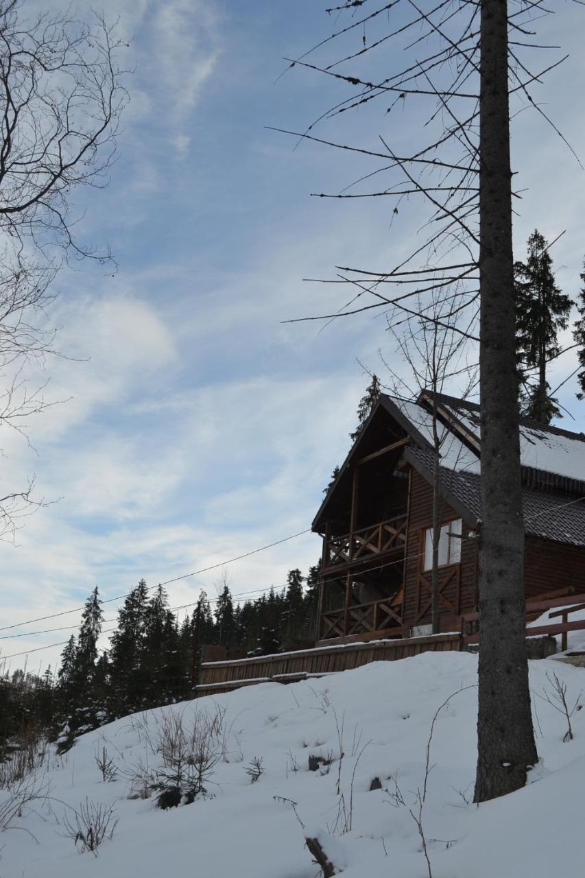 Chalet Shepit Karpat Bukovel Luaran gambar